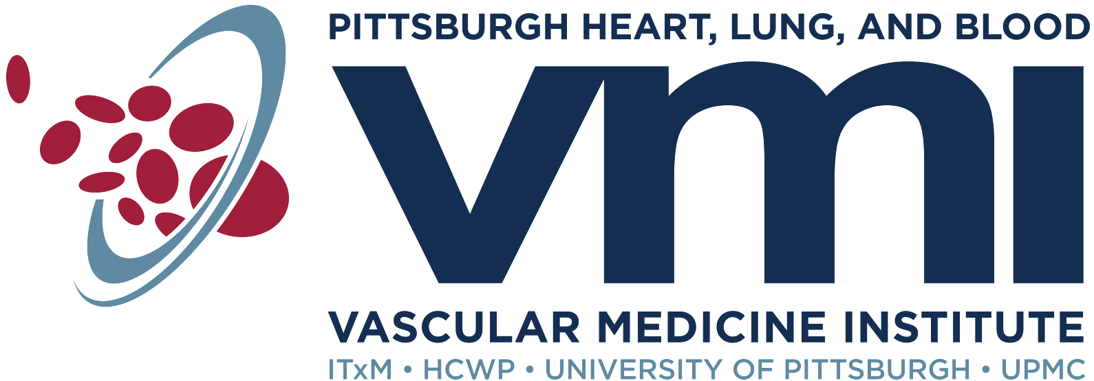 Vascular Medicine Institute