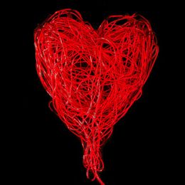 DNA damage & Heart disease